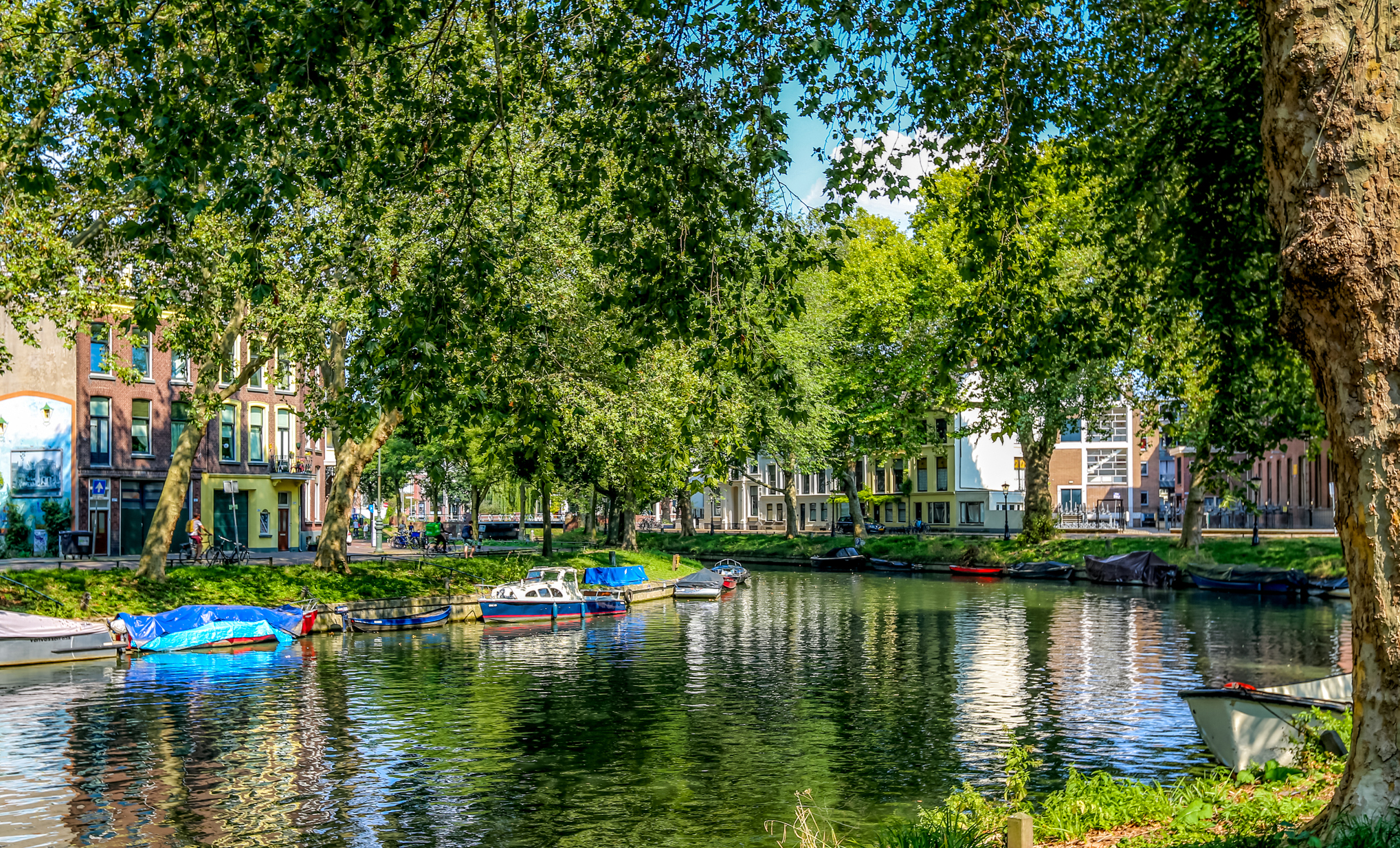 Makelaar Vogelenbuurt