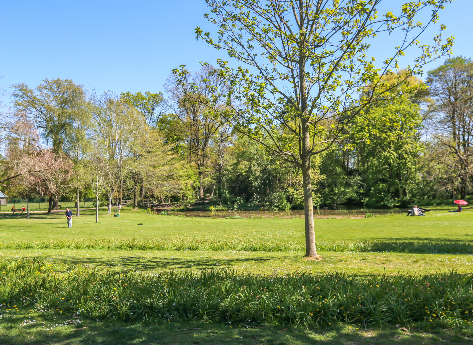Huis verkopen Oog in Al
